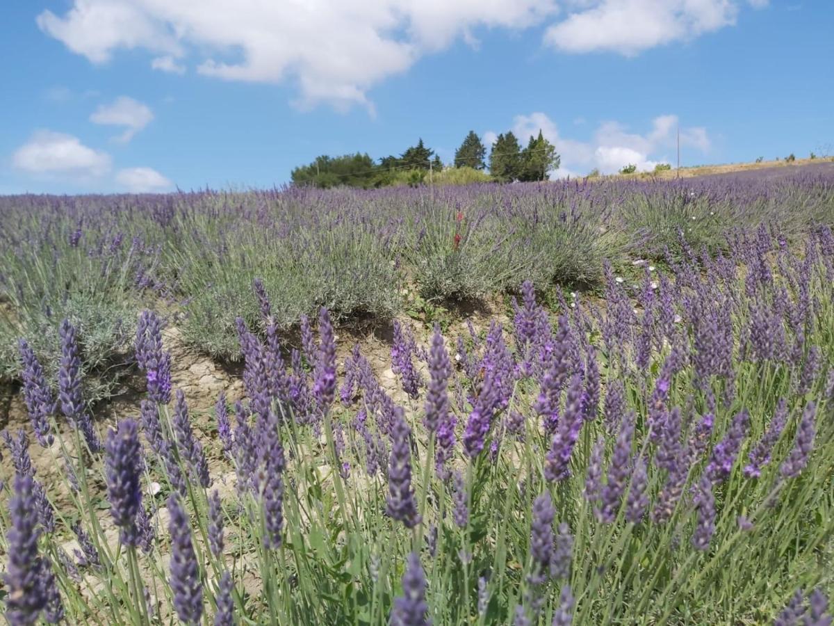 Agriturismo Mandriato サンタ・ルーチェ エクステリア 写真