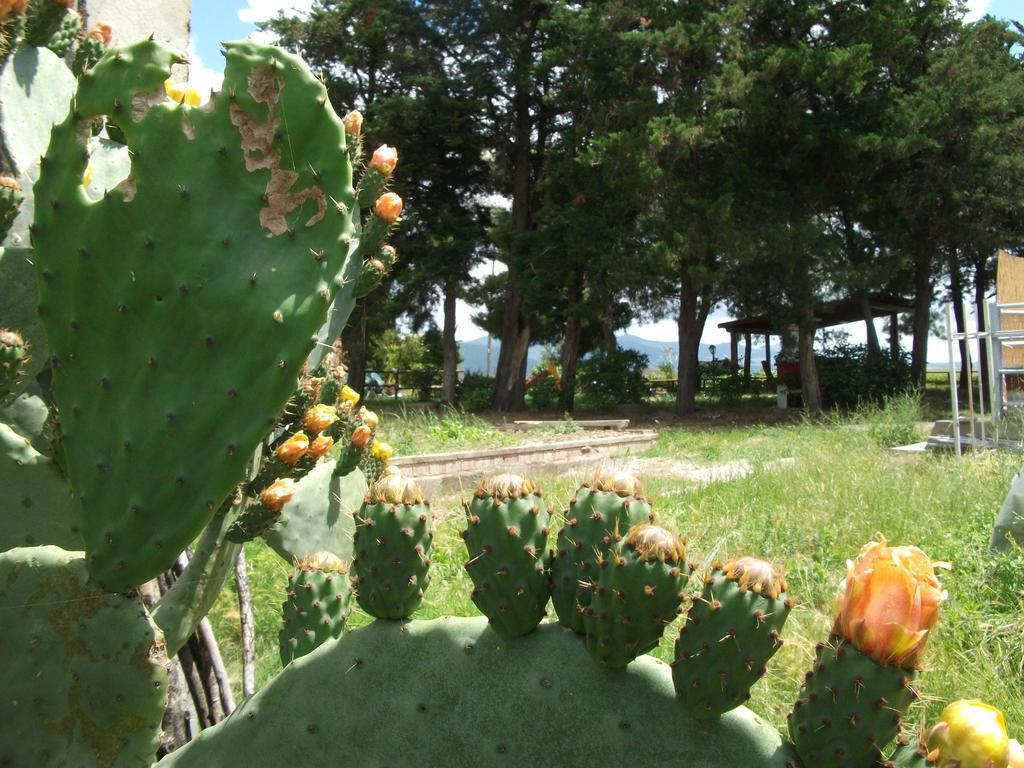 Agriturismo Mandriato サンタ・ルーチェ エクステリア 写真